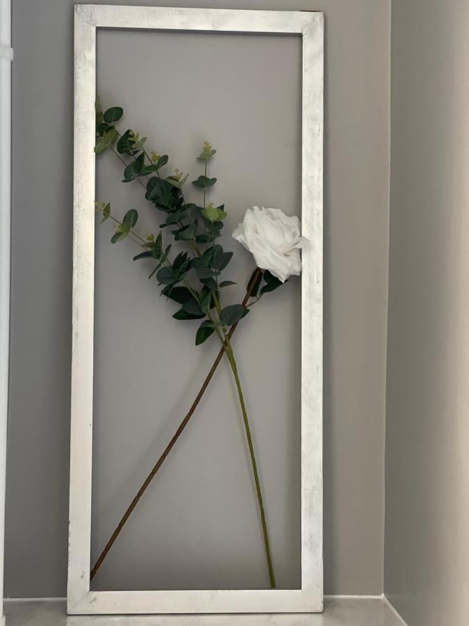 Grays Accommodation B&B מראה חיצוני תמונה